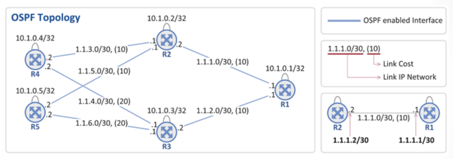 OSPF 토폴로지